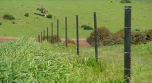 Fence1.jpg